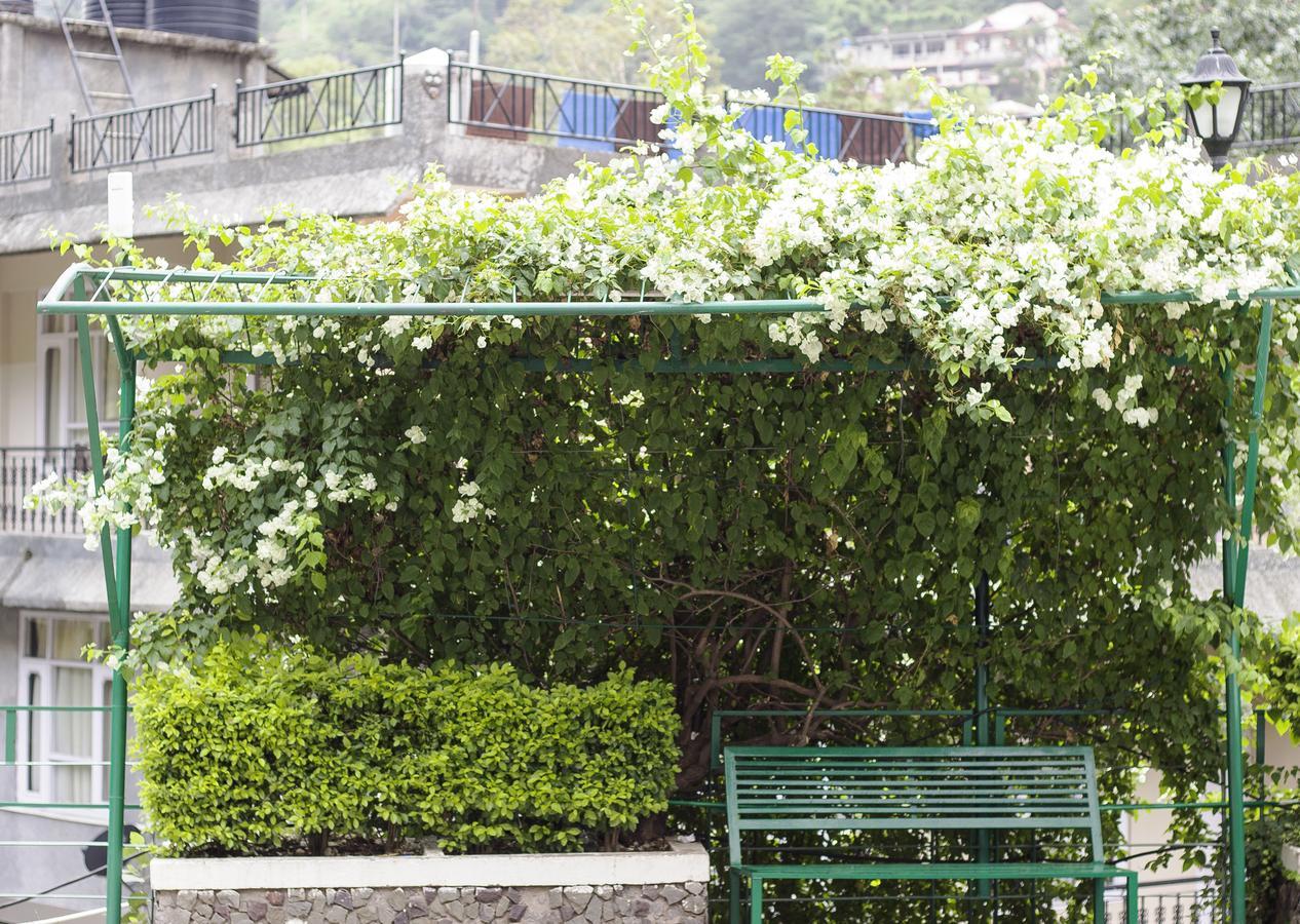 Savoy Greens Hotel Kasauli Buitenkant foto