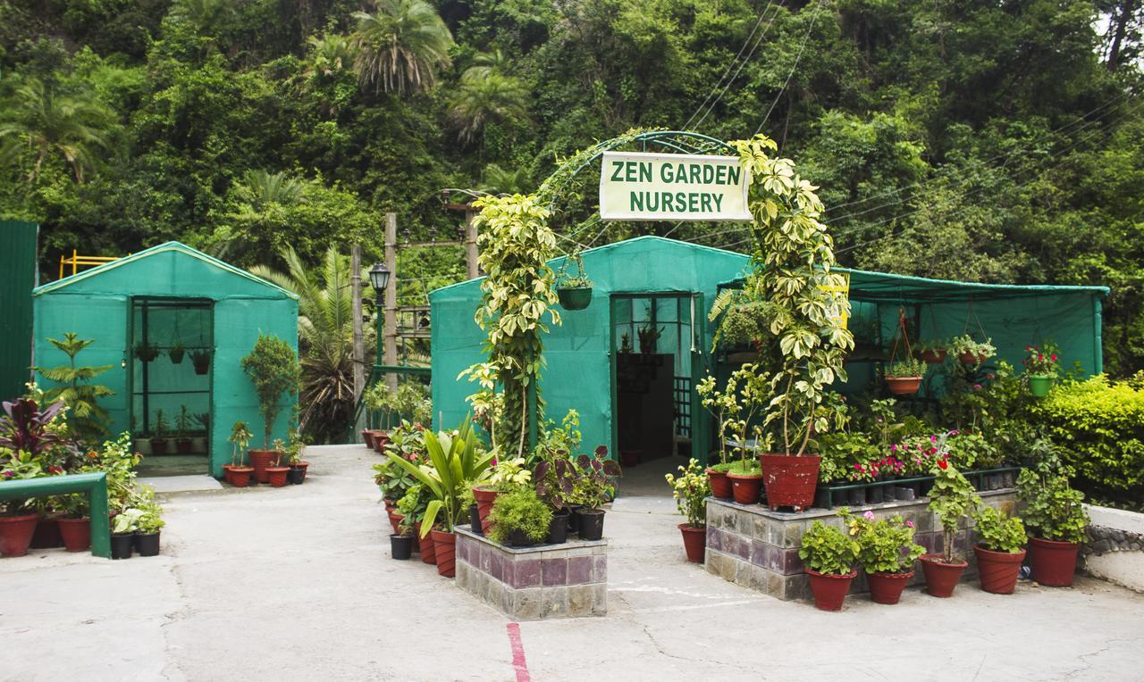 Savoy Greens Hotel Kasauli Buitenkant foto
