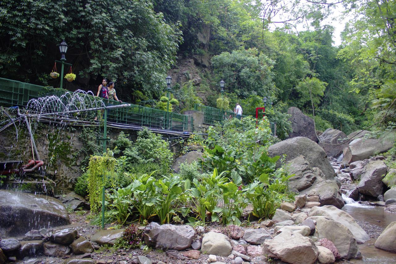 Savoy Greens Hotel Kasauli Buitenkant foto